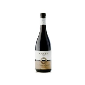 Firriato Caeles Syrah IGT